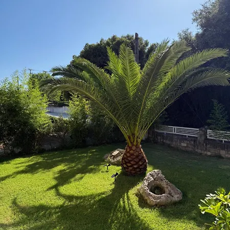 Garden *